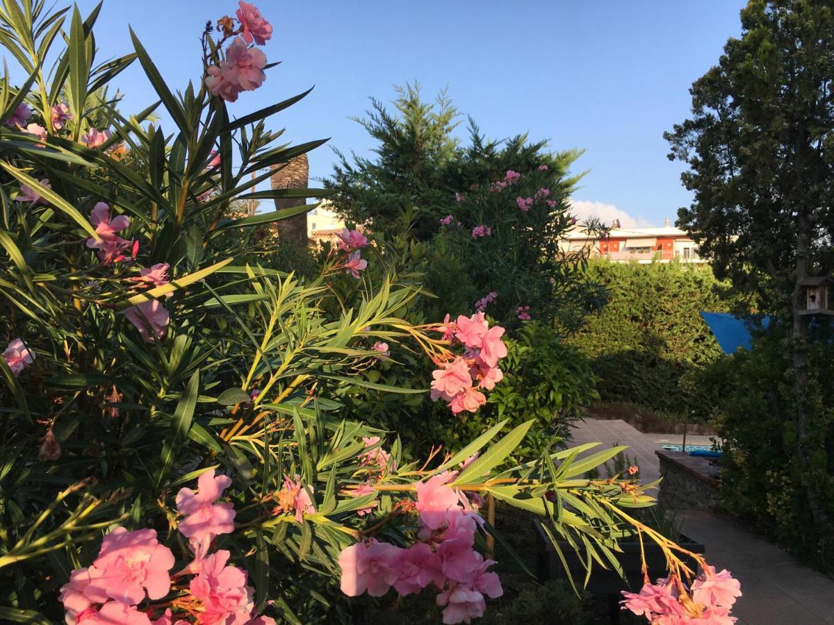 Villa Alessia アンティーブ エクステリア 写真